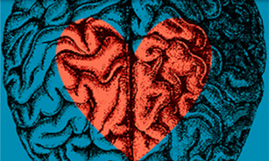 brain heart